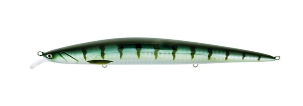 Molix Jugulo Jerk 180 LC mm. 180 gr. 30 colore #172 BARRACUDA - Clicca l'immagine per chiudere